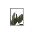 Picture of Focus of White Flower Peace Lily _GroupedProduct_Rectangle_Portrait_Canvas_Framed_