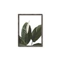 Picture of Focus of White Flower Peace Lily _GroupedProduct_Rectangle_Portrait_Canvas_Framed_