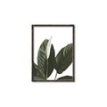 Picture of Focus of White Flower Peace Lily _GroupedProduct_Rectangle_Portrait_Canvas_Framed_