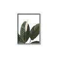 Picture of Focus of White Flower Peace Lily _GroupedProduct_Rectangle_Portrait_Canvas_Framed_