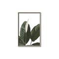Picture of Focus of White Flower Peace Lily _GroupedProduct_Rectangle_Portrait_Canvas_Framed_