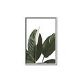 Picture of Focus of White Flower Peace Lily _GroupedProduct_Rectangle_Portrait_Canvas_Framed_