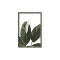 Picture of Focus of White Flower Peace Lily _GroupedProduct_Rectangle_Portrait_Canvas_Framed_