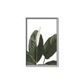Picture of Focus of White Flower Peace Lily _GroupedProduct_Rectangle_Portrait_Canvas_Framed_