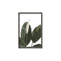 Picture of Focus of White Flower Peace Lily _GroupedProduct_Rectangle_Portrait_Canvas_Framed_