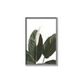 Picture of Focus of White Flower Peace Lily _GroupedProduct_Rectangle_Portrait_Canvas_Framed_