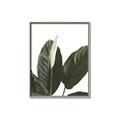 Picture of Focus of White Flower Peace Lily _GroupedProduct_Rectangle_Portrait_Canvas_Framed_