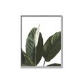 Picture of Focus of White Flower Peace Lily _GroupedProduct_Rectangle_Portrait_Canvas_Framed_