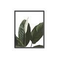 Picture of Focus of White Flower Peace Lily _GroupedProduct_Rectangle_Portrait_Canvas_Framed_