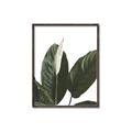 Picture of Focus of White Flower Peace Lily _GroupedProduct_Rectangle_Portrait_Canvas_Framed_