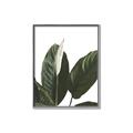 Picture of Focus of White Flower Peace Lily _GroupedProduct_Rectangle_Portrait_Canvas_Framed_
