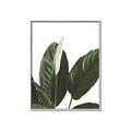 Picture of Focus of White Flower Peace Lily _GroupedProduct_Rectangle_Portrait_Canvas_Framed_