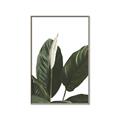Picture of Focus of White Flower Peace Lily _GroupedProduct_Rectangle_Portrait_Canvas_Framed_
