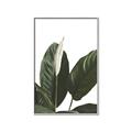 Picture of Focus of White Flower Peace Lily _GroupedProduct_Rectangle_Portrait_Canvas_Framed_