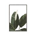 Picture of Focus of White Flower Peace Lily _GroupedProduct_Rectangle_Portrait_Canvas_Framed_