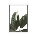 Picture of Focus of White Flower Peace Lily _GroupedProduct_Rectangle_Portrait_Canvas_Framed_