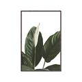 Picture of Focus of White Flower Peace Lily _GroupedProduct_Rectangle_Portrait_Canvas_Framed_