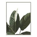Picture of Focus of White Flower Peace Lily _GroupedProduct_Rectangle_Portrait_Canvas_Framed_
