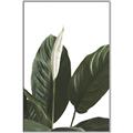Picture of Focus of White Flower Peace Lily _GroupedProduct_Rectangle_Portrait_Canvas_Framed_