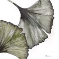 Picture of Ginko Leaves I _GroupedProduct_Square_Unframed_Print_Only_