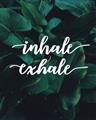 Picture of Palm Inhale Exhale _GroupedProduct_Rectangle_Portrait_Unframed_Print_Only_