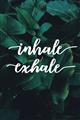 Picture of Palm Inhale Exhale _GroupedProduct_Rectangle_Portrait_Unframed_Print_Only_