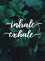 Picture of Palm Inhale Exhale _GroupedProduct_Rectangle_Portrait_Unframed_Print_Only_