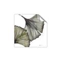 Picture of Ginko Leaves I _GroupedProduct_Square_Unframed_Print_Only_