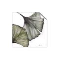 Picture of Ginko Leaves I _GroupedProduct_Square_Unframed_Print_Only_