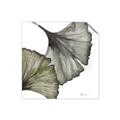 Picture of Ginko Leaves I _GroupedProduct_Square_Unframed_Print_Only_