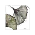 Picture of Ginko Leaves I _GroupedProduct_Square_Unframed_Print_Only_