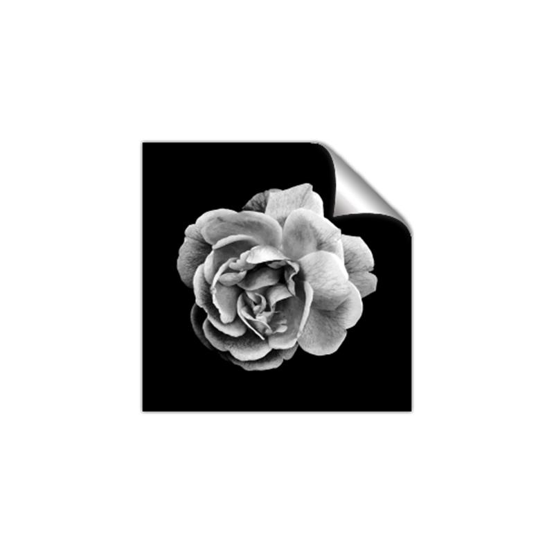 Picture of Black and White Rose _GroupedProduct_Square_Unframed_Print_Only_