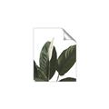 Picture of Focus of White Flower Peace Lily _GroupedProduct_Rectangle_Portrait_Unframed_Print_Only_