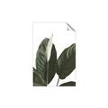 Picture of Focus of White Flower Peace Lily _GroupedProduct_Rectangle_Portrait_Unframed_Print_Only_