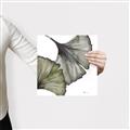 Picture of Ginko Leaves I _GroupedProduct_Square_Canvas_