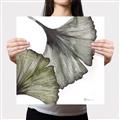 Picture of Ginko Leaves I _GroupedProduct_Square_Canvas_