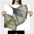 Picture of Ginko Leaves I _GroupedProduct_Square_Canvas_