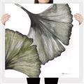 Picture of Ginko Leaves I _GroupedProduct_Square_Canvas_