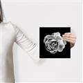 Picture of Black and White Rose _GroupedProduct_Square_Canvas_