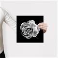 Picture of Black and White Rose _GroupedProduct_Square_Canvas_