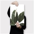 Picture of Focus of White Flower Peace Lily _GroupedProduct_Rectangle_Portrait_Canvas_