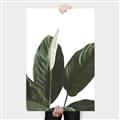 Picture of Focus of White Flower Peace Lily _GroupedProduct_Rectangle_Portrait_Canvas_