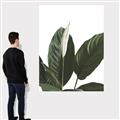 Picture of Focus of White Flower Peace Lily _GroupedProduct_Rectangle_Portrait_Canvas_