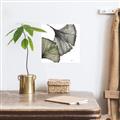 Picture of Ginko Leaves I _GroupedProduct_Square_Canvas_