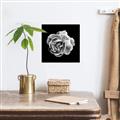 Picture of Black and White Rose _GroupedProduct_Square_Canvas_