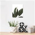 Picture of Focus of White Flower Peace Lily _GroupedProduct_Rectangle_Portrait_Canvas_