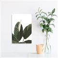 Picture of Focus of White Flower Peace Lily _GroupedProduct_Rectangle_Portrait_Canvas_