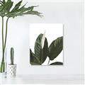 Picture of Focus of White Flower Peace Lily _GroupedProduct_Rectangle_Portrait_Canvas_