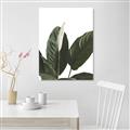 Picture of Focus of White Flower Peace Lily _GroupedProduct_Rectangle_Portrait_Canvas_