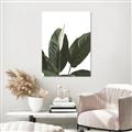 Picture of Focus of White Flower Peace Lily _GroupedProduct_Rectangle_Portrait_Canvas_